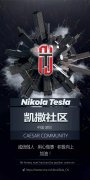 NKL——特斯拉（Tesla）旗下去中心化金融